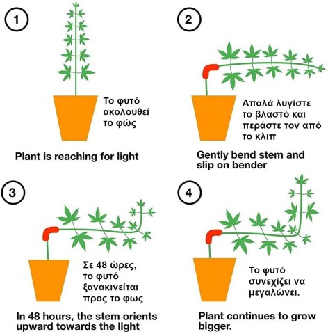NF Grow 90 degrees Plant Bender Clips (Pack of 10)
